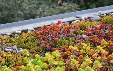 the cost of Tallarn Green green roof installation