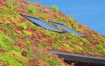 Tallarn Green living roof systems