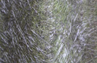 Tallarn Green fibreglass roof work